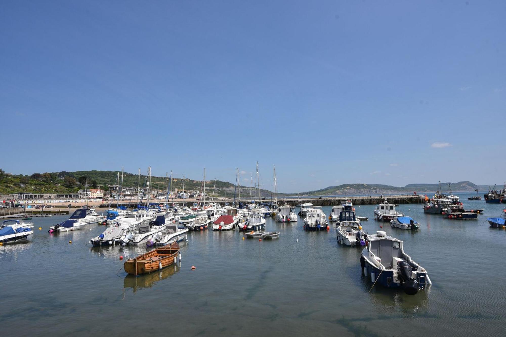 Lyme Views Lejlighed Lyme Regis Eksteriør billede